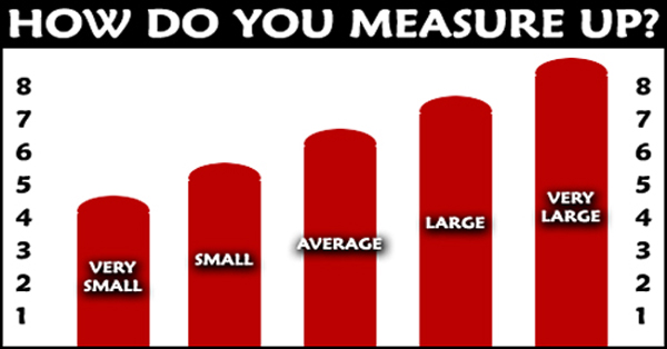 Penis Size Chart